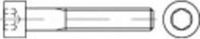 TOOLCRAFT 114514 Cilinderschroeven M3 8 mm Binnenzeskant (inbus) DIN 912 Staal 100 stuk(s)