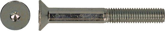 pgb-Europe PGB-FASTENERS BZK-schroef VZK GD D. 7991 M6x40 A2 | 200 st