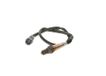 BOSCH Lambdasonde 0258010079