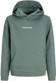 Jack & Jones Junior Hoodie Hoodie Boys