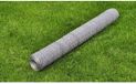 vidaXL Kippengaas - 25x1 m - Gegalvaniseerd Staal - Zilverkleurig