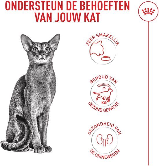 Royal Canin Fussy Exigent - 10 kg