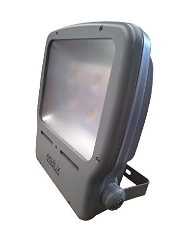 Eitelux Pro-1 LED-projector, 180 W, grijs