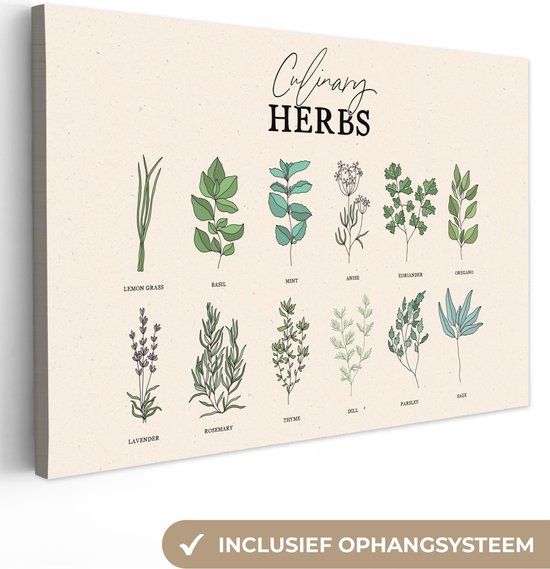 OneMillionCanvasses Canvas schilderij 150x100 cm - Kruiden - Planten - Herbs - Groen - Vintage - Muurdecoratie