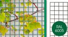 Giardino Bologna Draadpaneel 5x5cm x 150cm x 100cm RAL 6005 Groen
