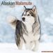 Avonside Alaskan Malamute Kalender 2027