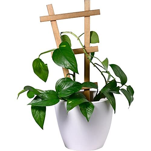 dobar® Green Label Sorento - Set of 4 - Wooden Trellis - 19x1.4x39 cm - Brown