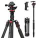 NEEWER BASICS Carbon Fiber Travel Statief Monopod, 64 inch Compacte Lichtgewicht Draagbare Camera Mobiele Telefoon Houder Stand Compatibel met iPhone Video Opname, Arca Type Ball Head, Max Belasting