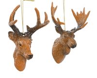 Decoris Hertenhoofd pp L7,9b7,5h12 cm bruin a2