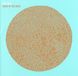 Made Hot Chip Made in the Dark