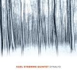 Sonic Rendezvous Karl Stromme Quintet - Dynalyd (CD)