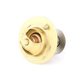 Gates TH14178G1 Waterthermostaat