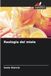 Reologia OmniScriptum SRL Reologia del miele Paperback