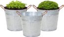 Mega Collections Emmer/plantenpot/bloempot Jean - 3x - zink - zilver - D20 X H17 cm