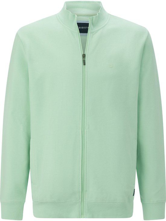 Babista heren Sweatvest - 64/66 - mint - Plus Size