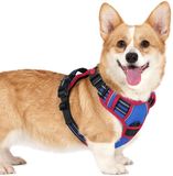 Merkloos / Sans marque Stratify Commerce Hondenharnas voor Kleine Honden, Makkelijk Aanzetbaar, S, Blauw & Rood