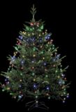Feeric Lights & Christmas Kerstverlichting - cascade - 232 leds - gekleurd - H220 cm