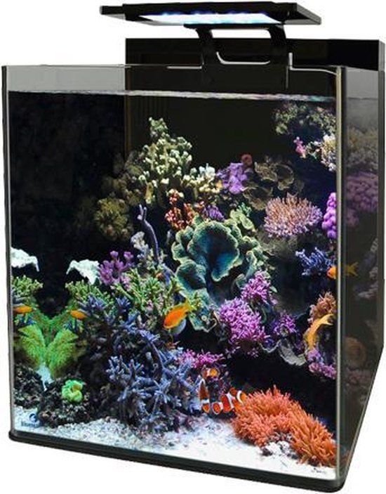 Blue Marine REEF 60 AQUARIUM