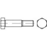 TOOLCRAFT TO-5381673 Zeskant passchroeven M16 55 mm DIN 609 10 stuk(s)
