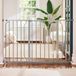 Regalo Easy Step 52 Inch Extra Breed, Platina