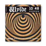 ZAKK WYLDE STRING LAB AKOESTISCHE GITAARSNAARS 10-48