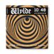 ZAKK WYLDE STRING LAB AKOESTISCHE GITAARSNAARS 10-48