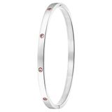 Lucardi Dames Armband bangle geboortestenen - Staal - Armband - Cadeau - Stijlvol - Zilverkleurig