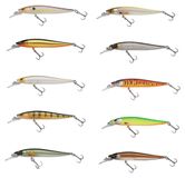 Berkley Dex Stunna 100Plus2 Ember - Twitchbait, Couleur:Baitfish