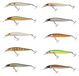 Berkley Dex Stunna 80Plus1 Ember - Twitchbait, Couleur:Ayu