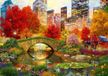 Bluebird Puzzle legpuzzel Central Park NYC - 2000 stukjes puzzel