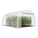 Serre de jardin tunnel transparent