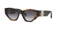 Philipp Plein SPP161 Avana scura lucida 58/18/145 Vrouwen Zonnebrillen