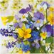 Paw Servetten Spring Day 33x33cm Set20