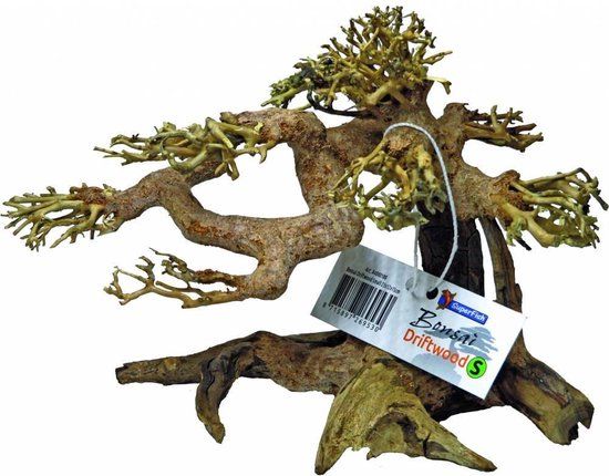 SuperFish Bonsai Driftwood Aquariumdecoratie Small