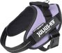 Julius-K9, IDC Power tuigje, maat: Mini, Paars