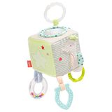 Fehn Activity Cube Zeekinderen
