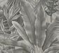 Living Walls JUNGLESTIJL BLADEREN BEHANG | Botanisch - Grijs Beige Zwart Taupe