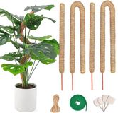 Monstera 4-pack support d'escalade - 2x 60 cm, 2x 120 cm, fibre de coco, métal