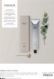 Previa Colour 6,34 / 6GC kupfergold Dunkelblond 100 ml