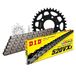 Kettingset DID Kettingset staal 520VX3 / 110 klinkslot voor Honda NSR R 125 cc bj. 1998-2003