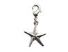 INNSPIRO NICE CHARMS Metalen ster hanger 5 punten met karabijnhaak 16 x 20 mm