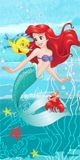 Jerry Disney Kleine Zeemeermin Strandlaken, Ariel - 70 x 140 cm - Katoen