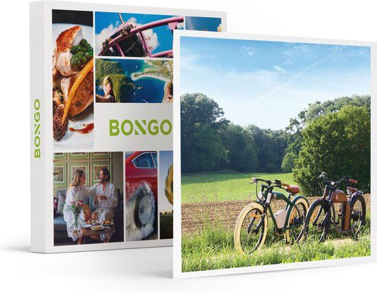 Bongo Dagtocht Op Een Rayvolt E-bike In Haspengouw - Cadeaukaart