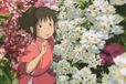 Semic Ghibli - Spirited Away: De reis van Chihiro - Onder de bloemen A4 mapje