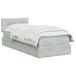 vidaXL Opslag bed met hoofdeinde Lichtgrijs 100 x 200 cm Fluweel