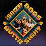 Outta The Sheepdogs Outta Sight (LP)