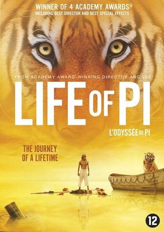 Disney Movies Life Of Pi (DVD) - Standard Edition - Region 2