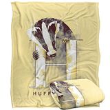 HARRY POTTER Silky Touch Super Soft Sprei Deken, 152 x 127 cm