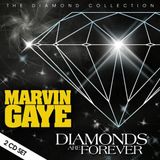Suburban Store For Music Diamonds Are Forever