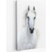 Tableau Toile Cheval Blanc